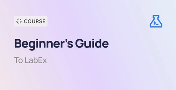 A Beginner's Guide to LabEx