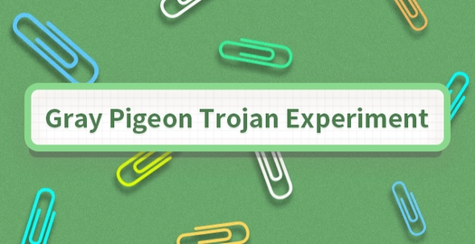 Gray Pigeon Trojan Experiment