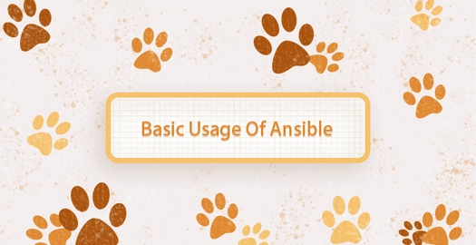 Basic Usage of Ansible
