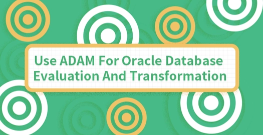 Use ADAM to Migrate Data From a Local Oracle Database to Apsara PolarDB