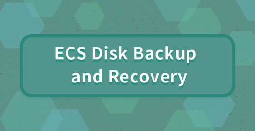 ECS Disk Backup and Recovery
