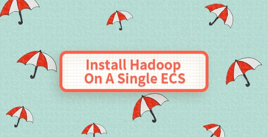 Install Hadoop on a Single ECS