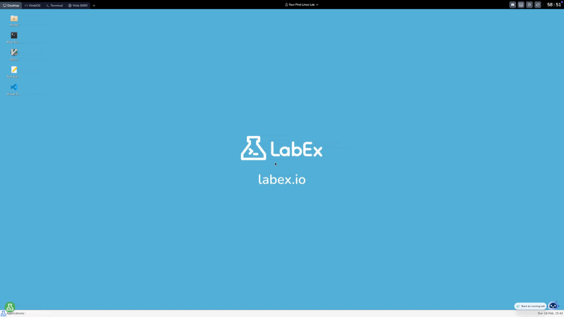 LabEx switching from the Linux desktop to another environment interface