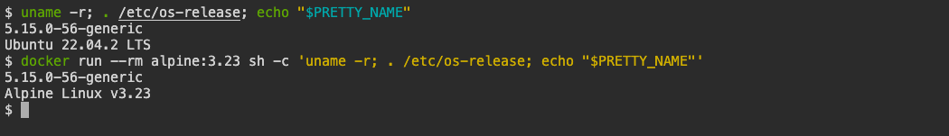 The LabEx VM terminal reports different Ubuntu and Alpine user spaces with the same Linux kernel release