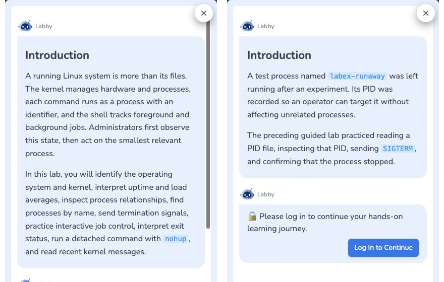 Side-by-side public LabEx panels: the process-management Guided Lab introduces the system model, while the related Challenge states a bounded PID and SIGTERM task