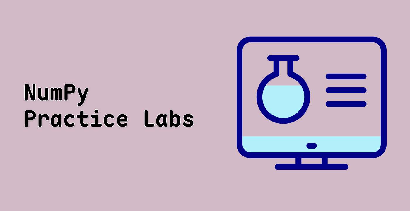 NumPy Practice Labs