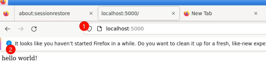 Flask app browser output