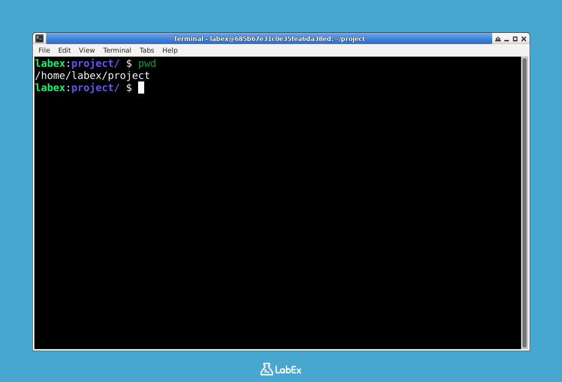 Terminal mostrando el directorio actual
