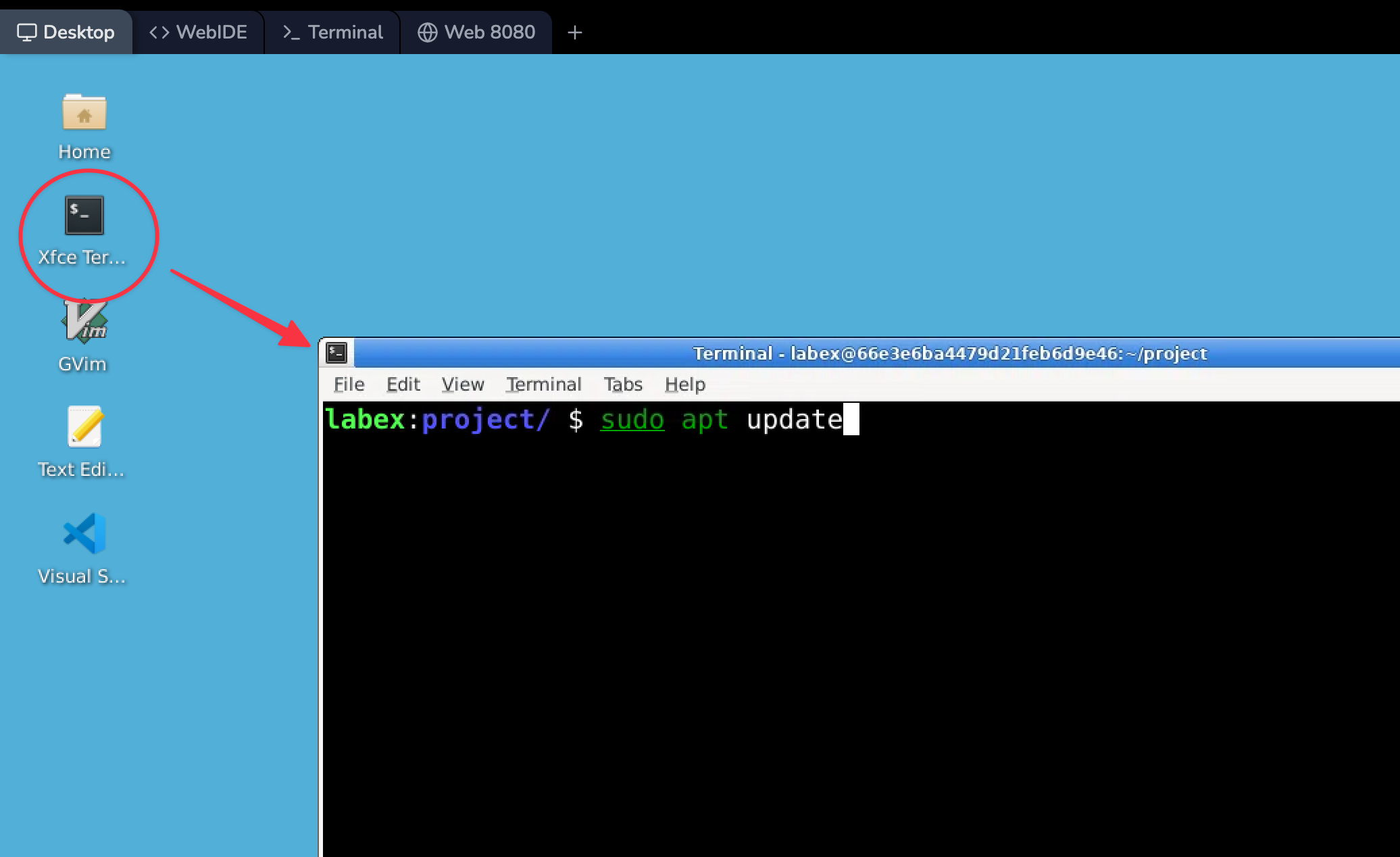 Terminal con la instalación de Nmap