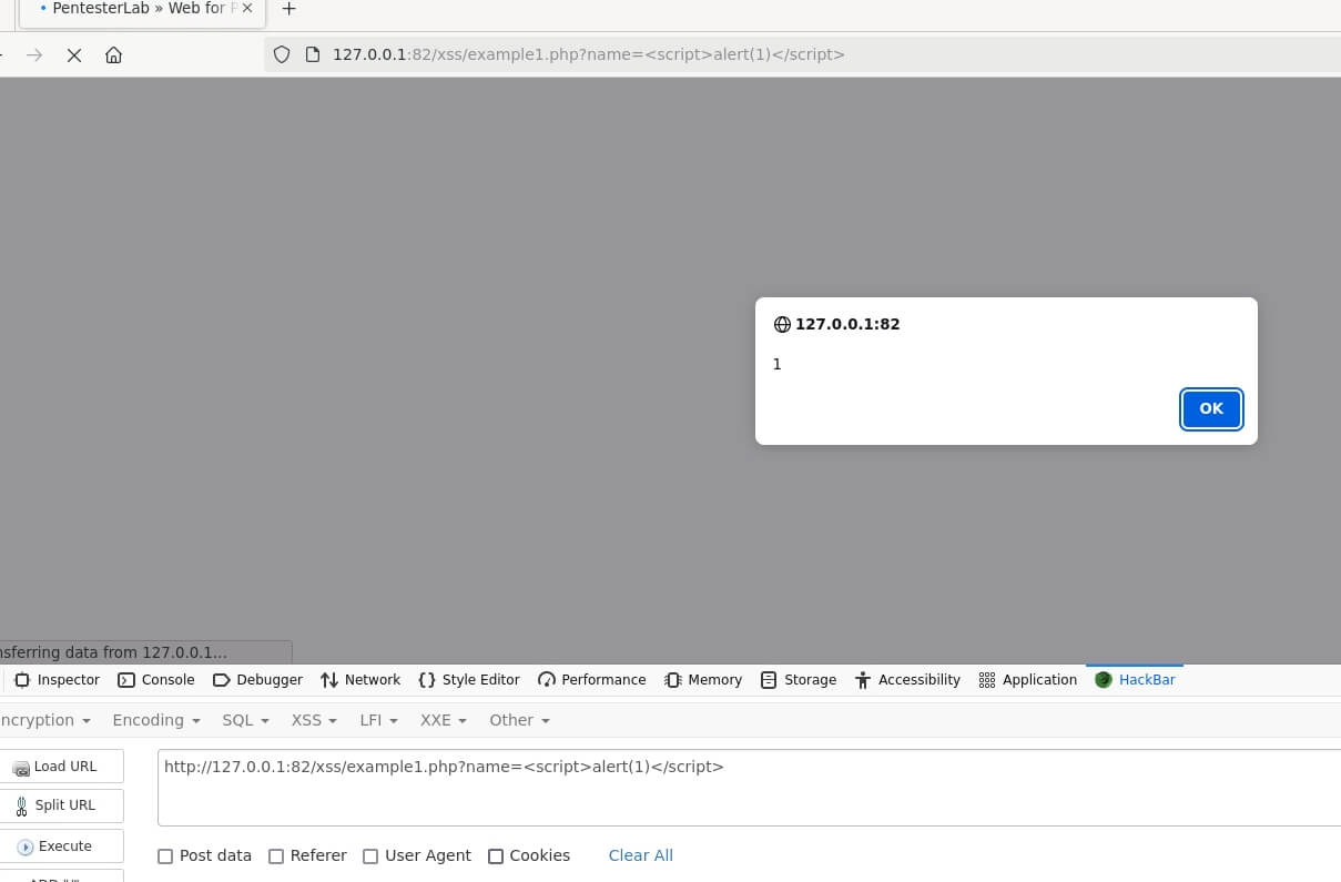 XSS alert triggered