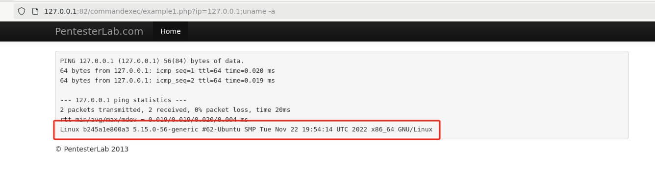 command injection result