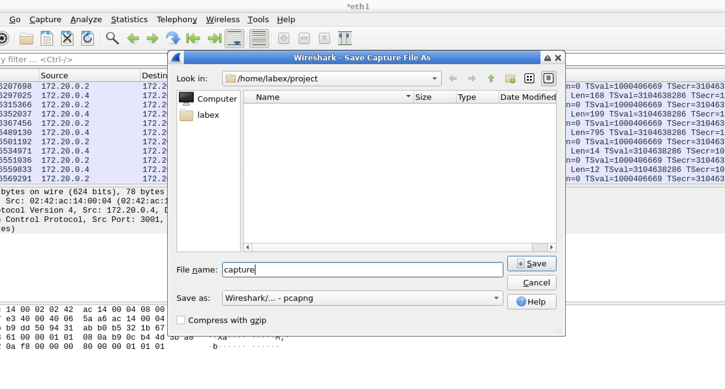 Wireshark main interface