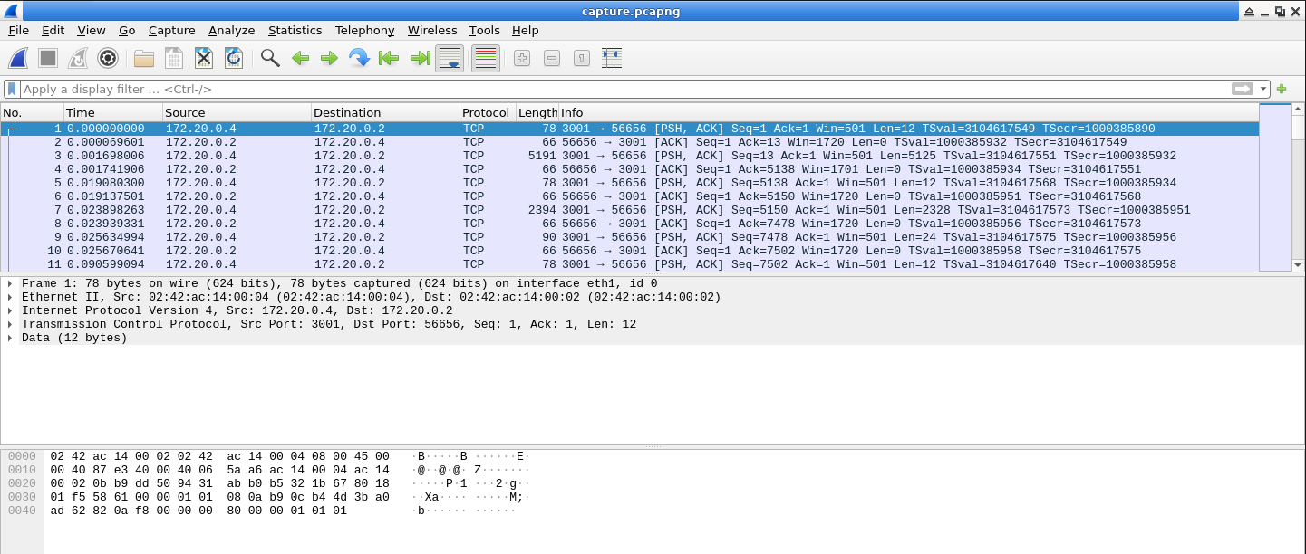 Wireshark initial data view
