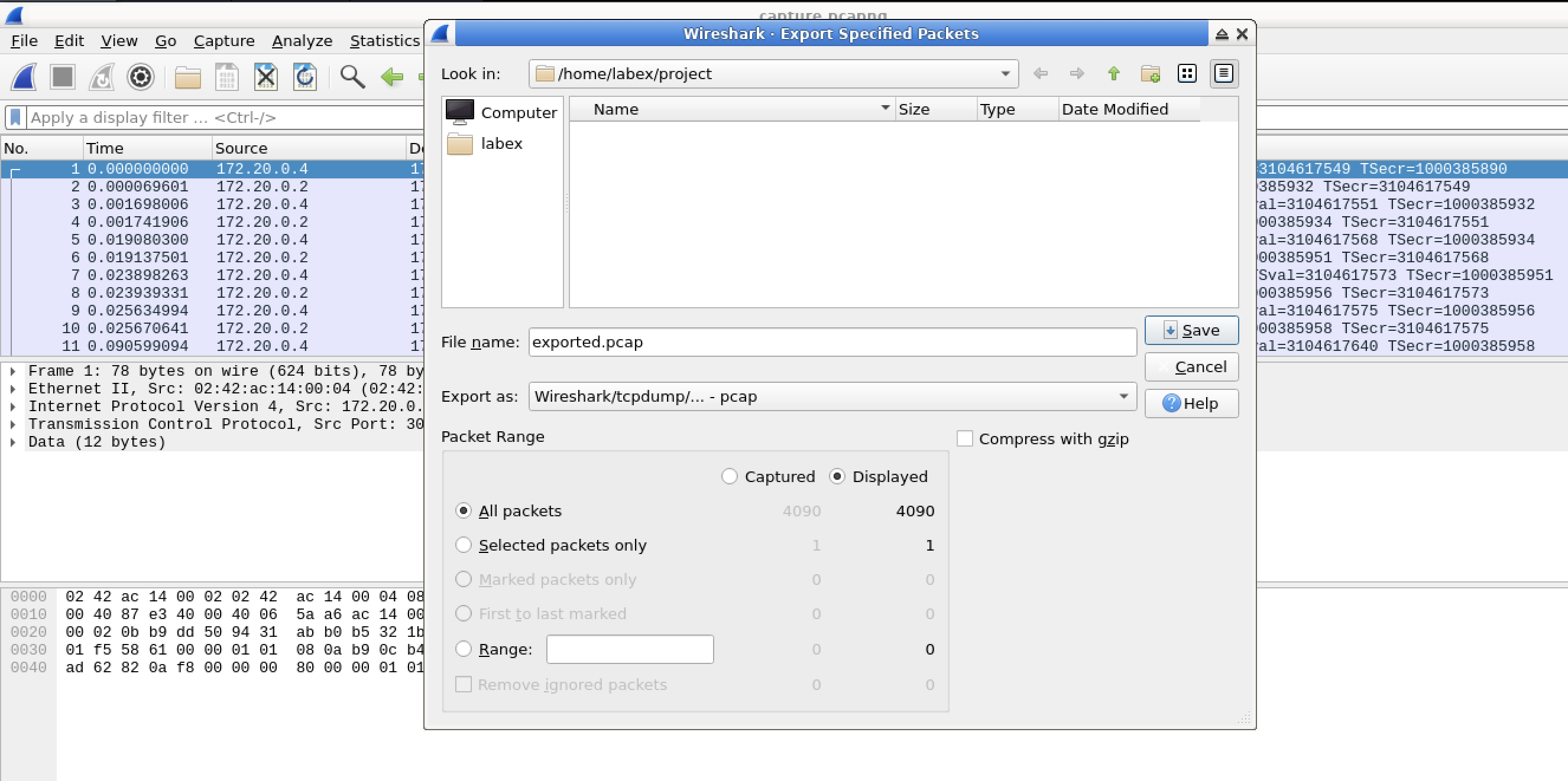 Export packets dialog