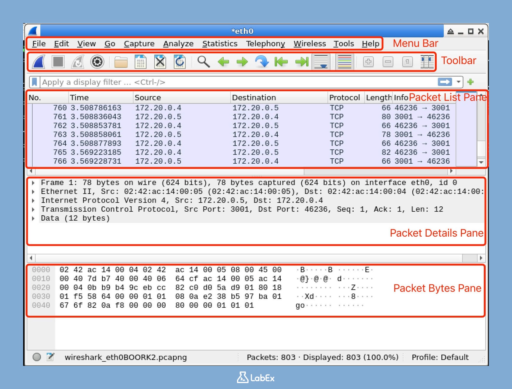 Wireshark Main Window