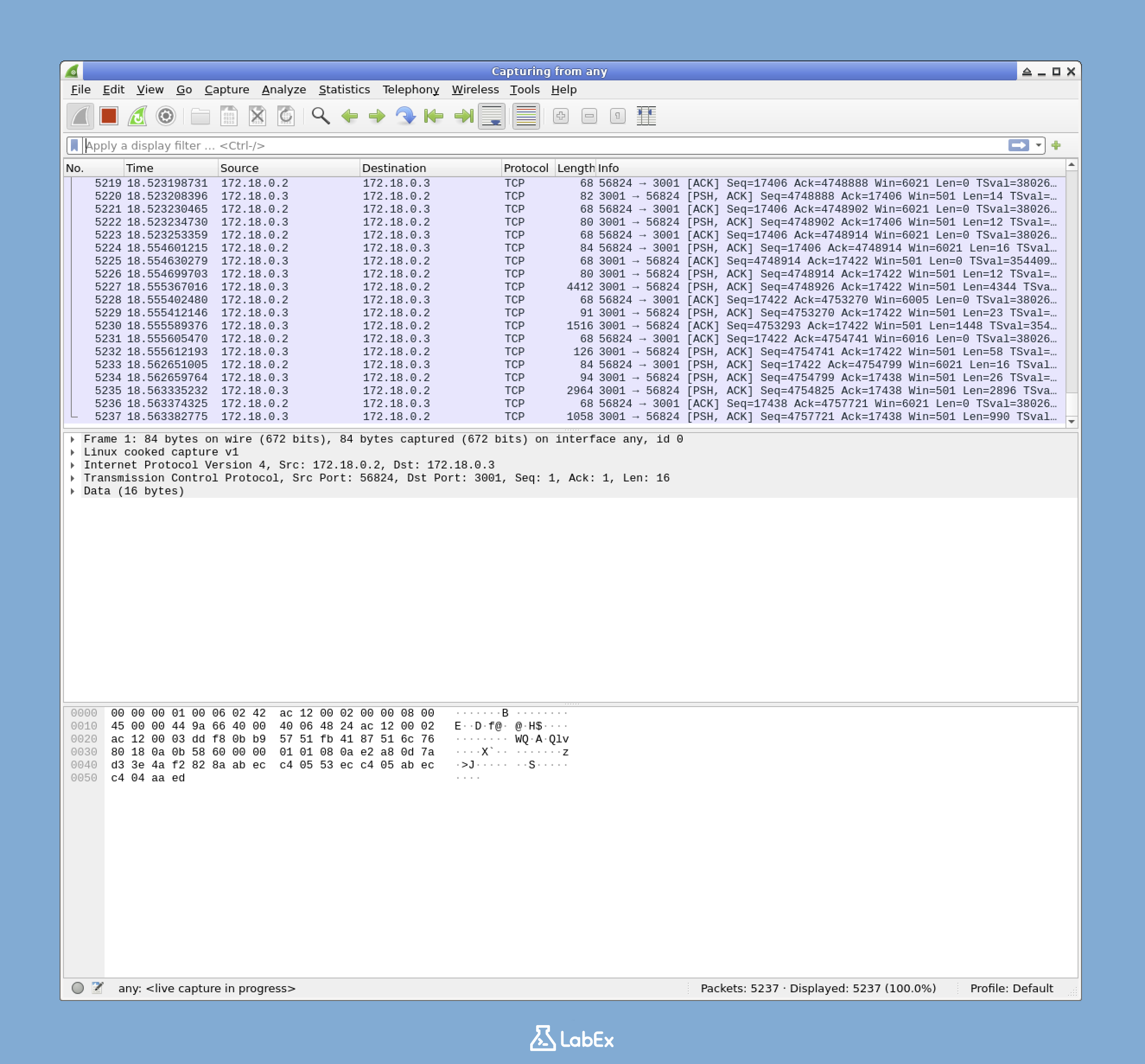 Wireshark Interface Selection
