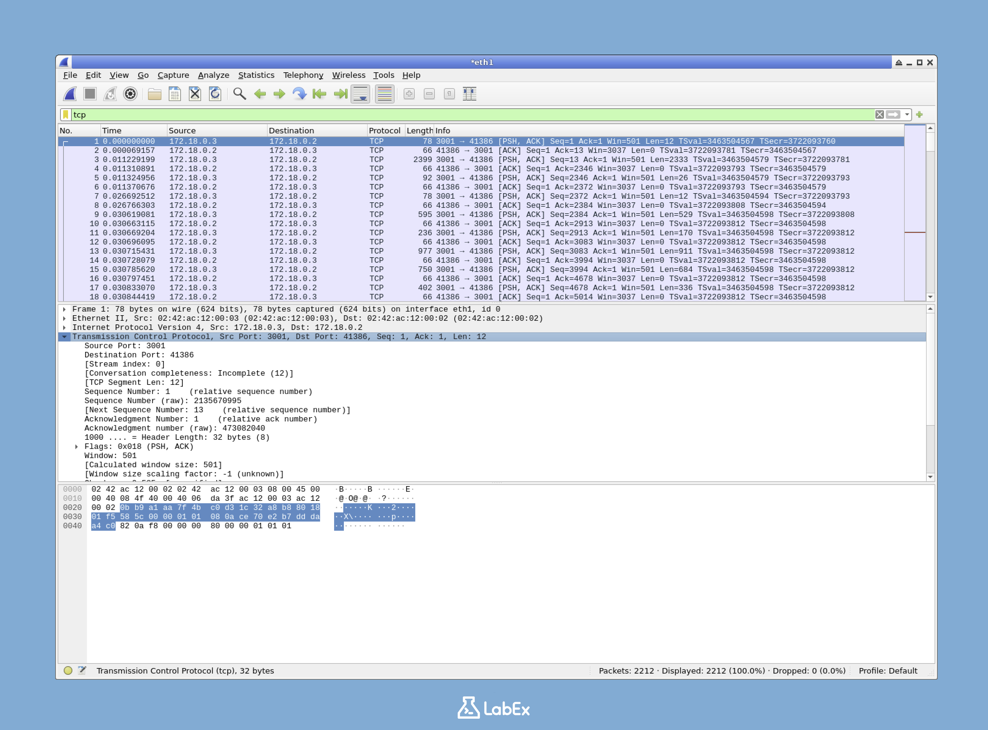 Wireshark Interface Layout Illustration