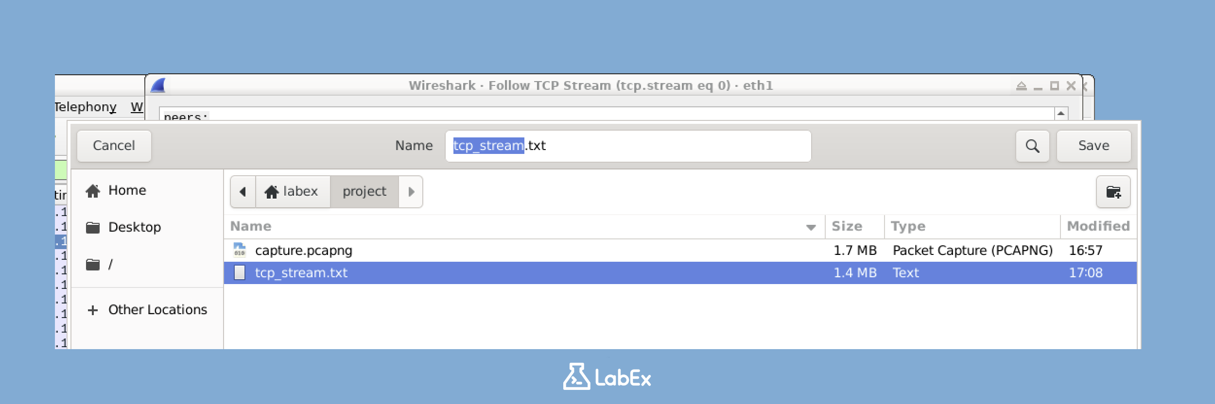 Save TCP Stream Dialog Screenshot
