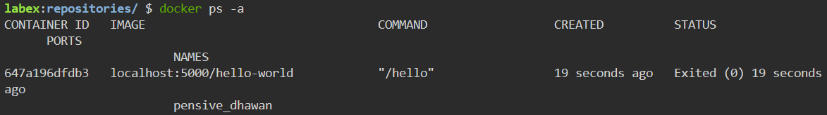 Ejecutando el contenedor de Docker desde la imagen
