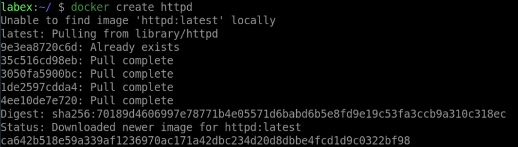 首次创建 Docker 容器