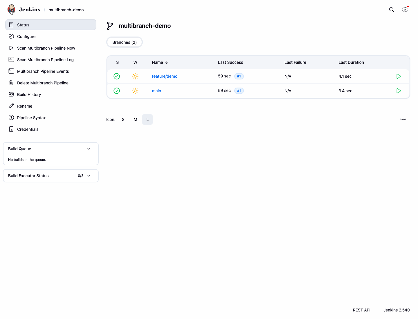 Jenkins successful branch builds