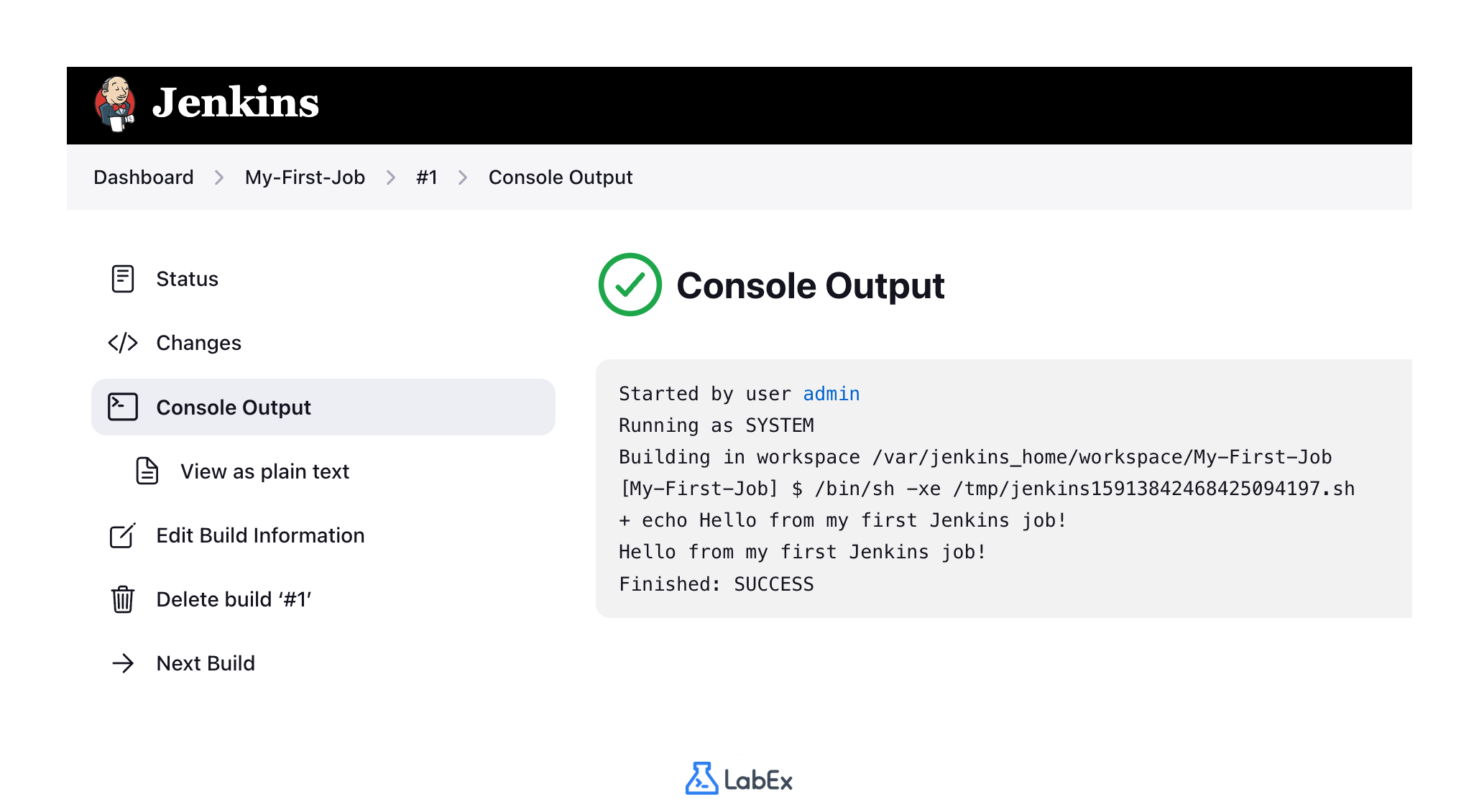 Console output link on build details page