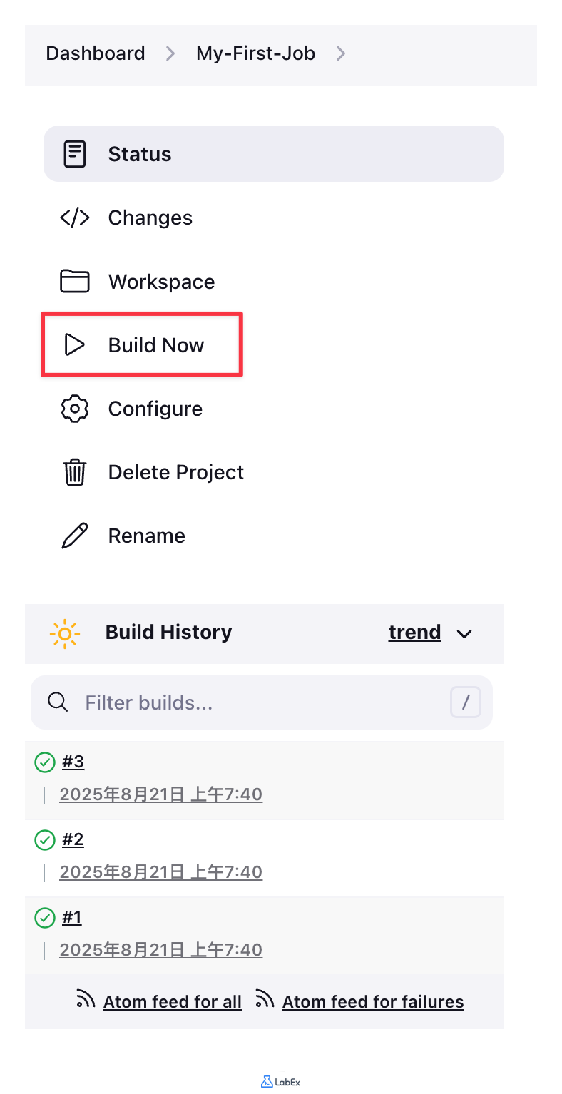 Jenkins project page Build Now button