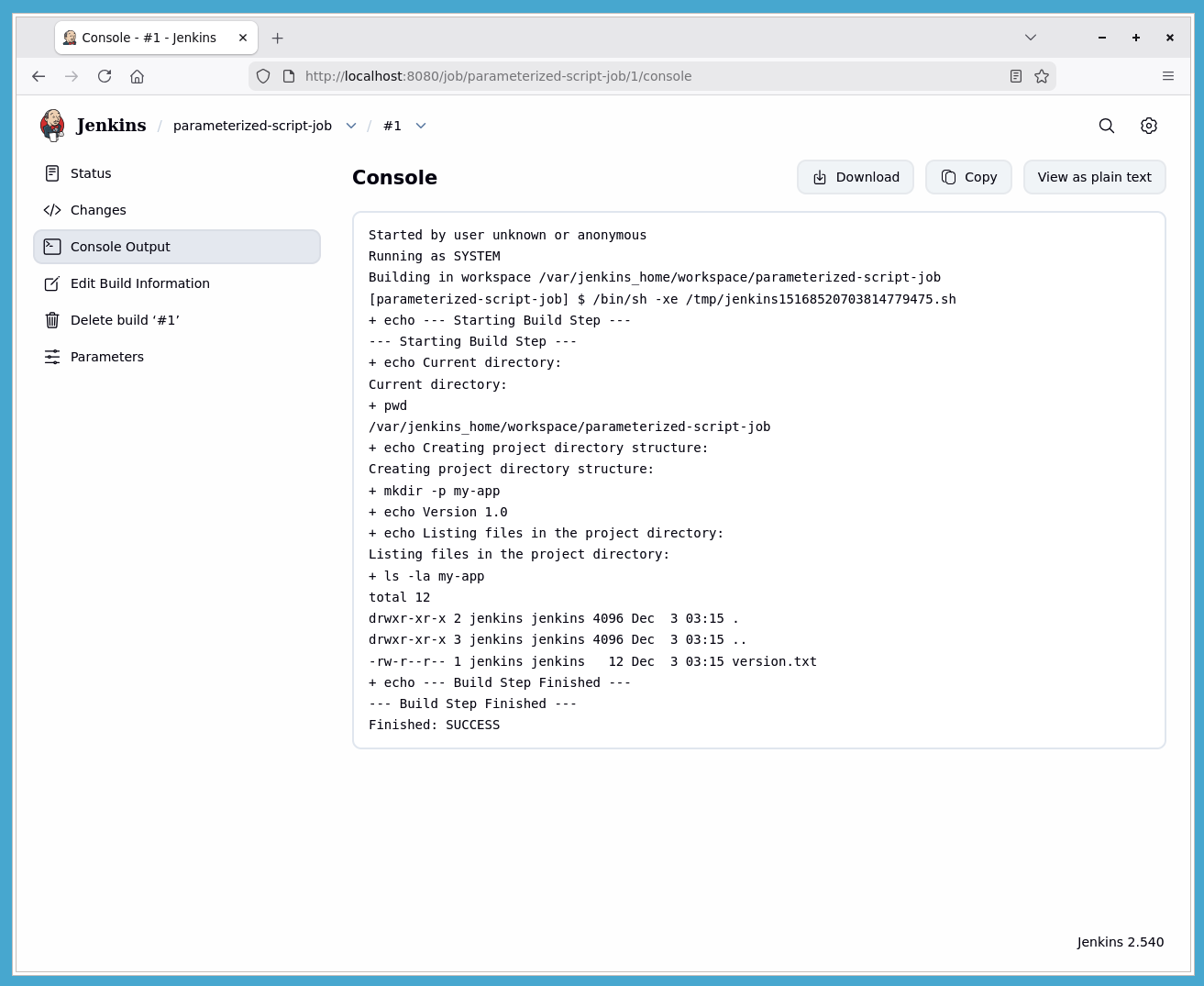 Jenkins job console output