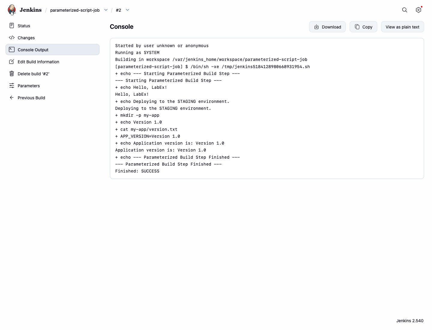Console output showing custom parameter values