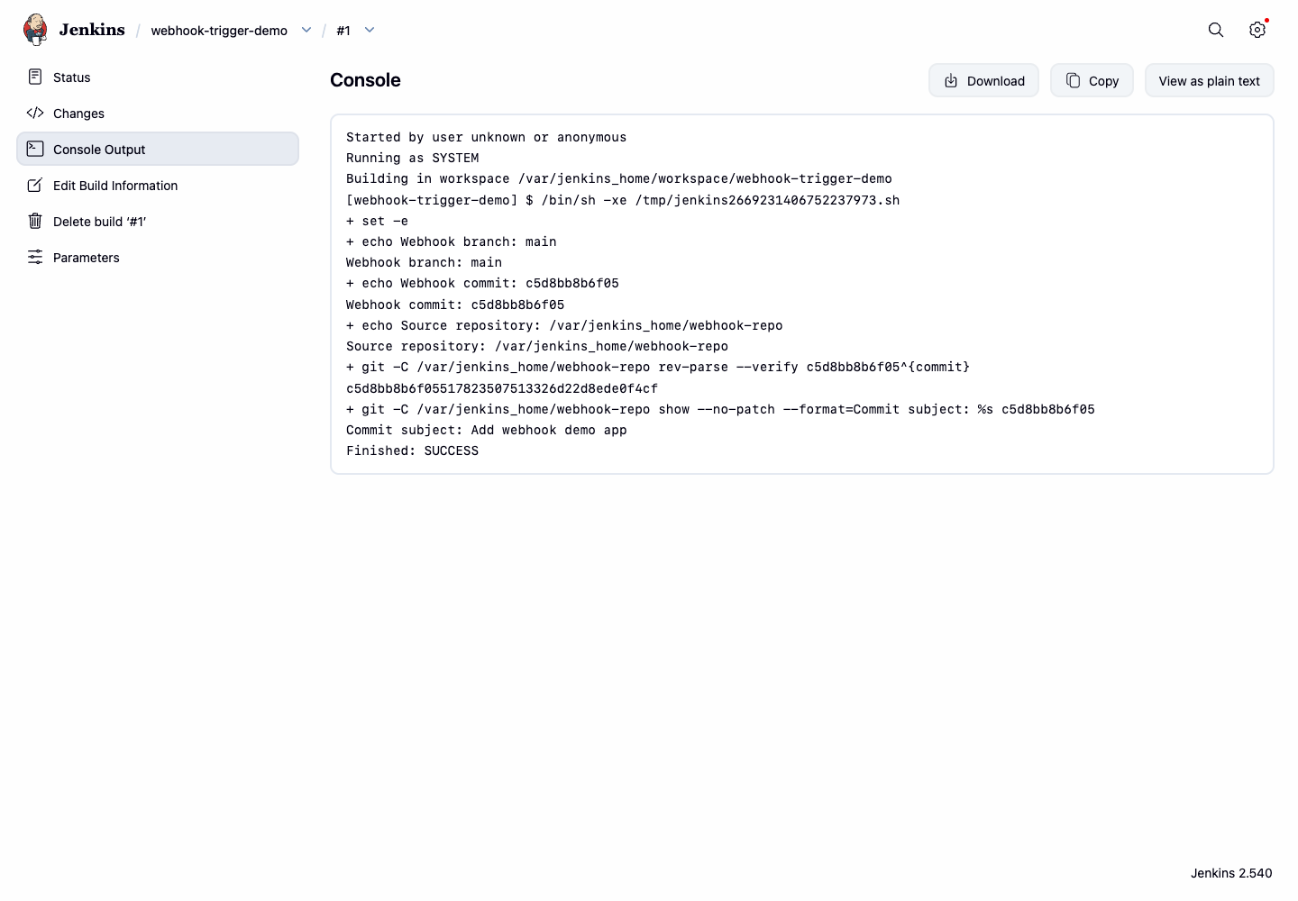 Jenkins webhook build console output