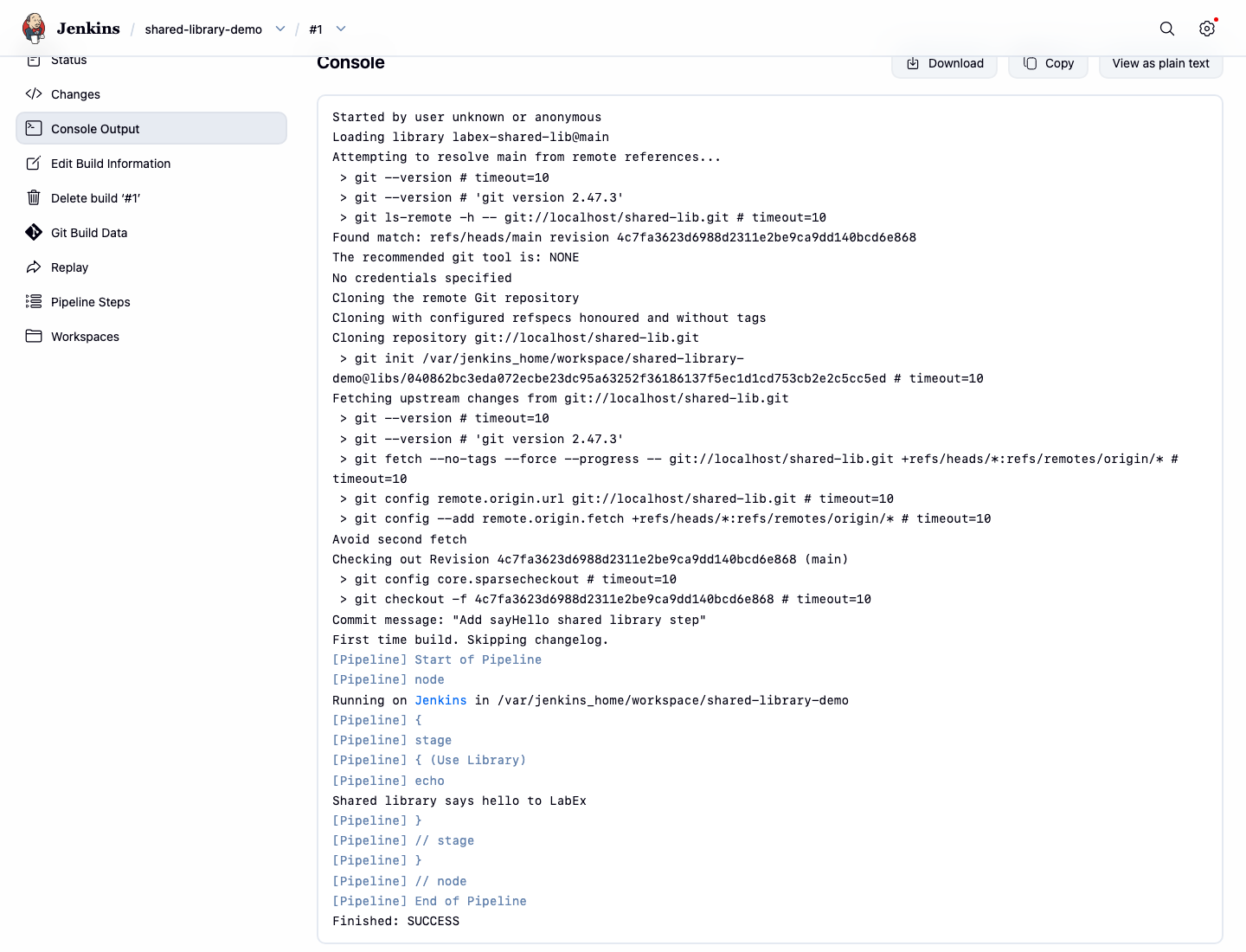 Jenkins Shared Library Konsolenausgabe