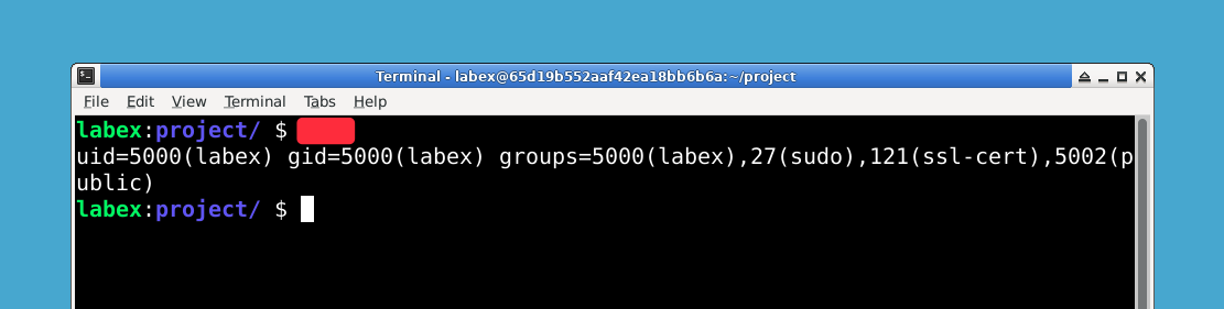 ユーザーとグループ情報のターミナル表示