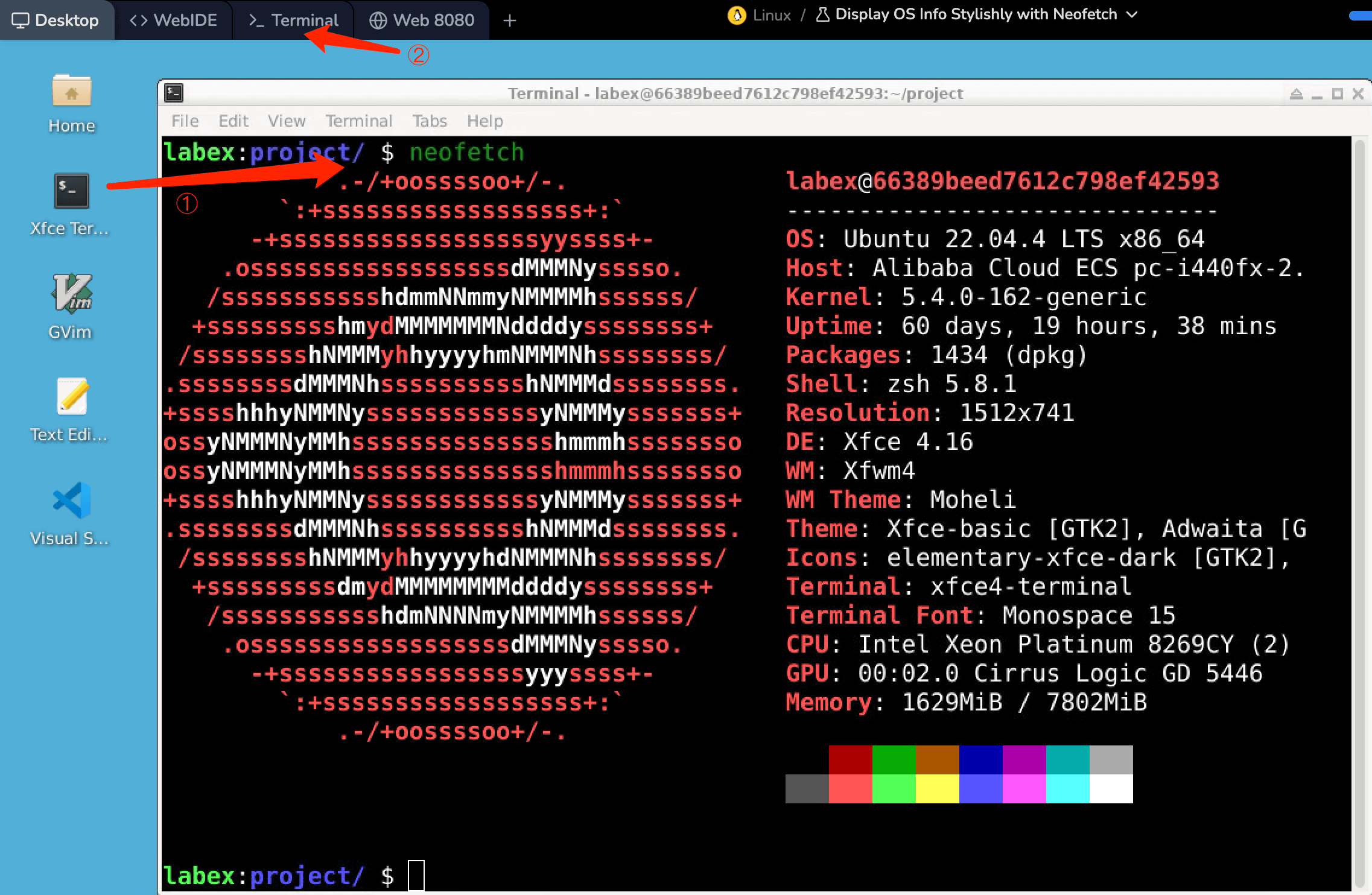 Exibição de informações do sistema Neofetch