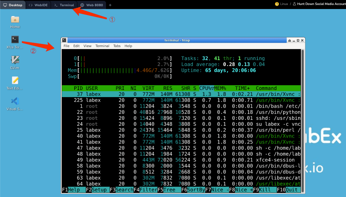 htop process monitoring interface