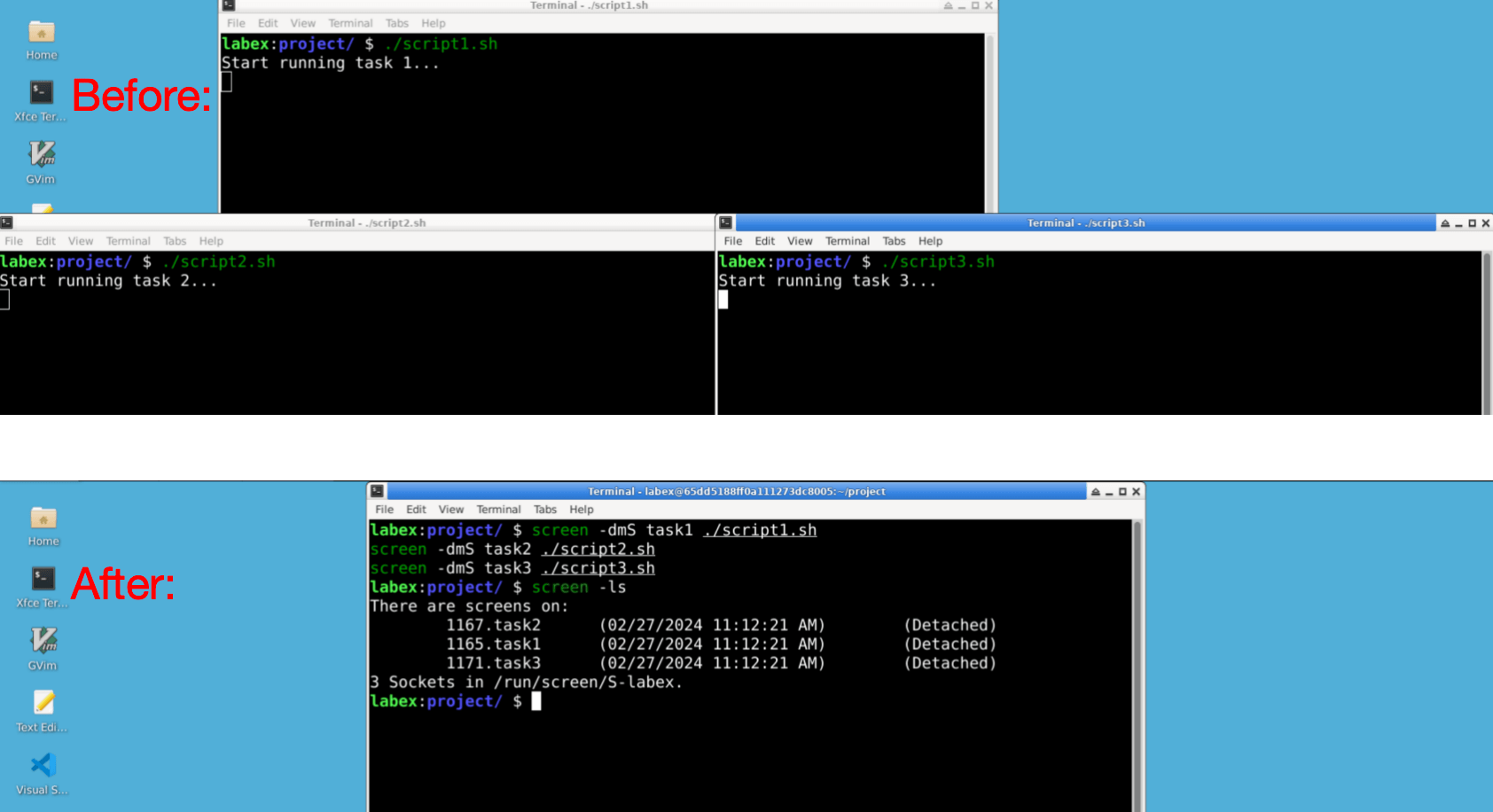 screen command usage example