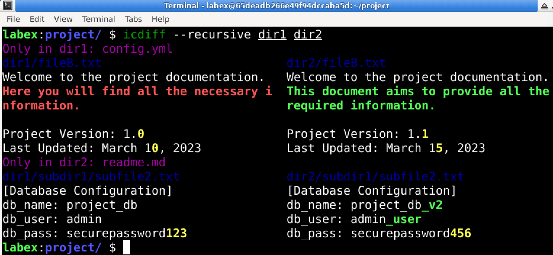 recursive directory comparison output