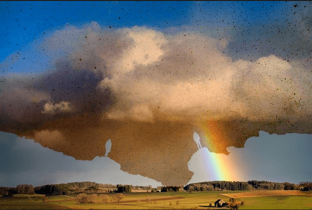 画像減算結果の例