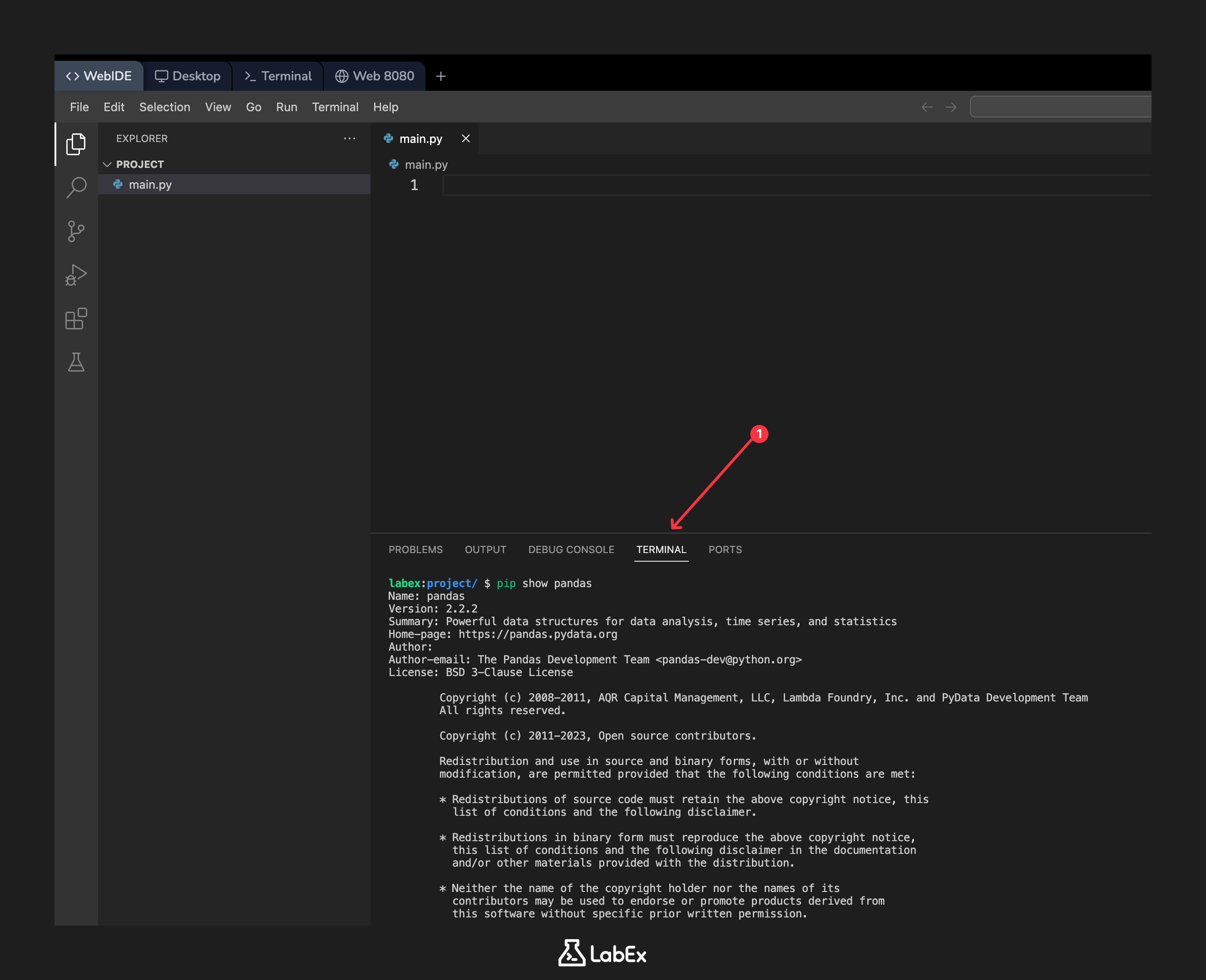 Salida de la terminal mostrando los detalles de la instalación de pandas