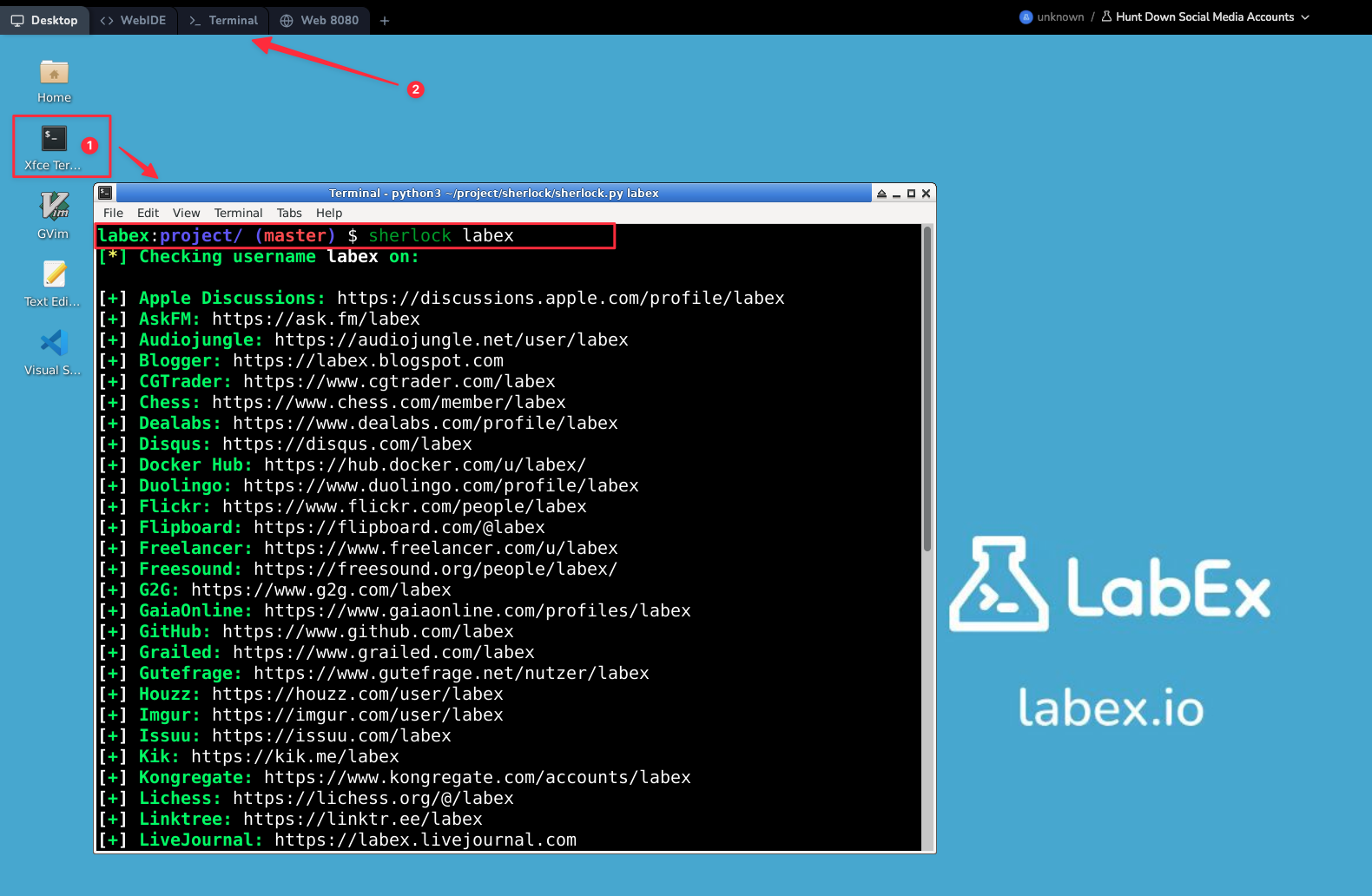 Sherlock 实验界面截图