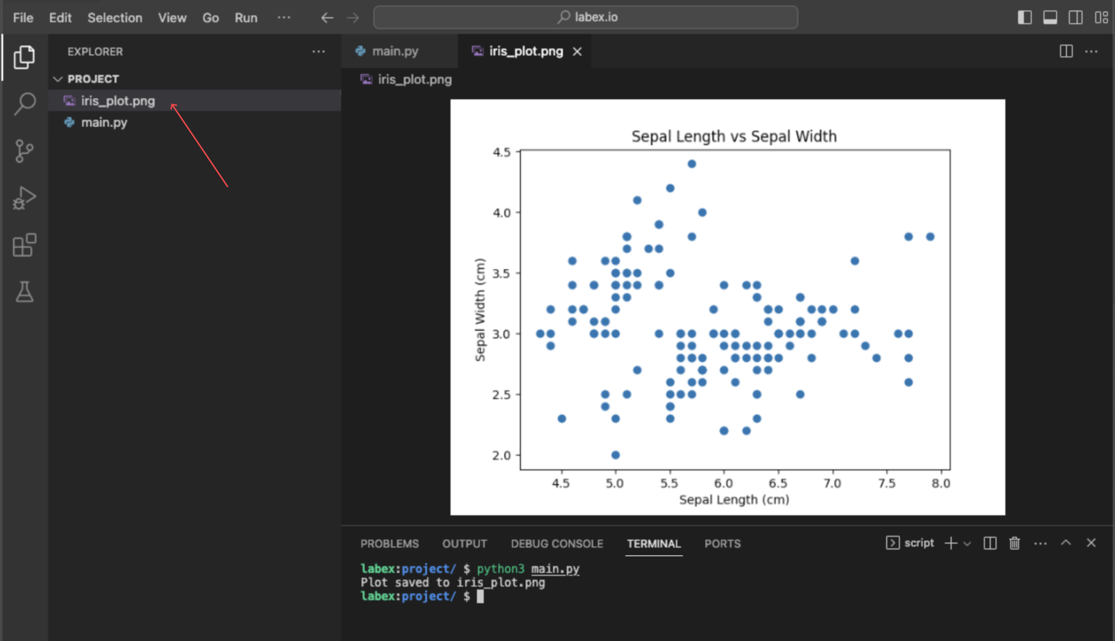 Iris dataset scatter plot