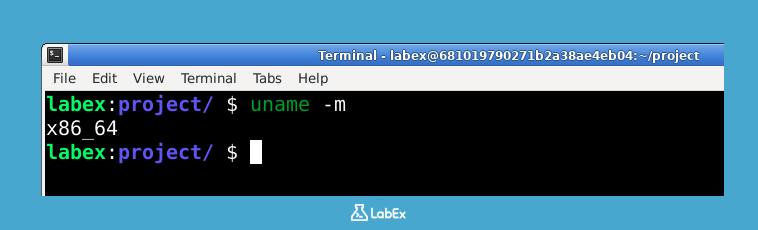 Illustration for uname -m command