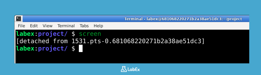 Illustration of detaching from Screen session