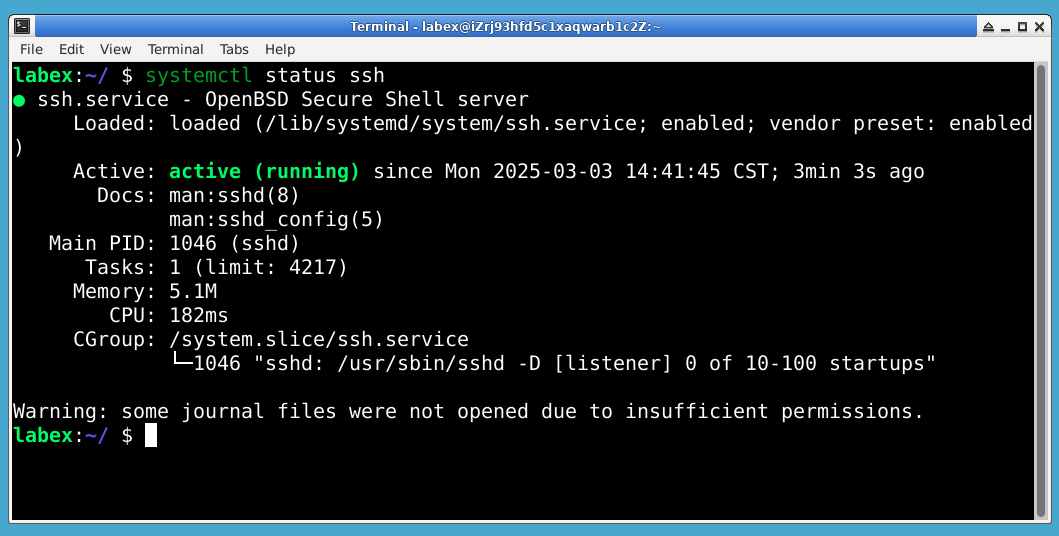 systemctl status ssh