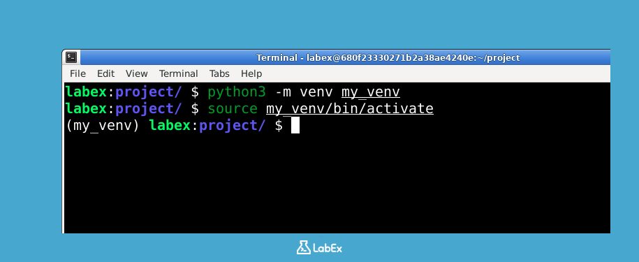 Image showing activated venv