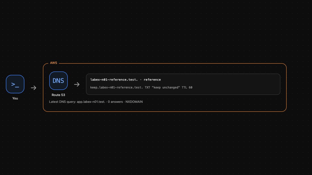清理结果示例：应用名称返回 NXDOMAIN，未改变的参考区域仍然存在。