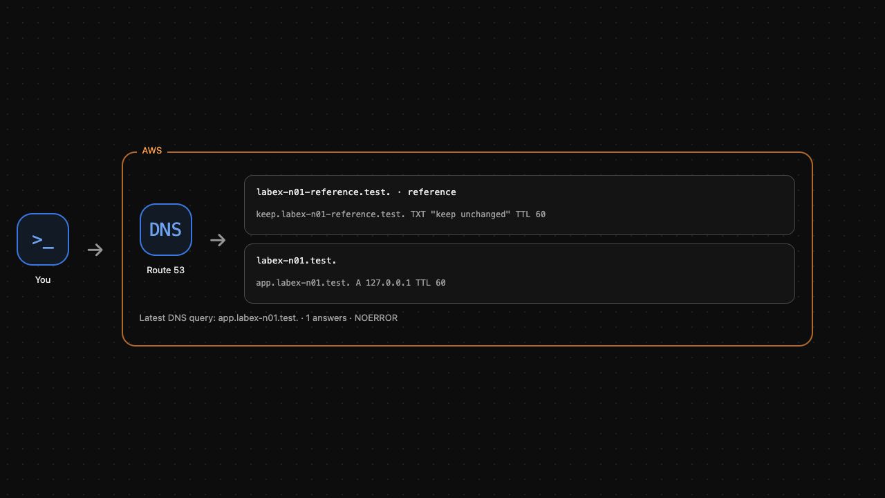 实际应用名称查询后的 AWS View 示例：返回一条 A 应答，两个区域仍然存在。