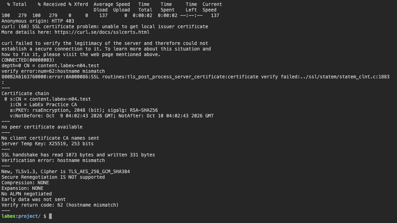Terminal 示例检查点：故意指定错误验证主机名导致 hostname mismatch，而预置 SNI 名称选择了练习证书。