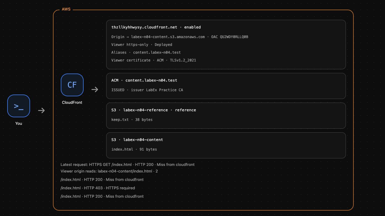 AWS View 示例检查点：最近实际 HTTPS 页面请求返回 HTTP 200；先前明文访问已被拒绝。