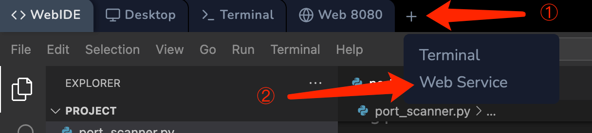 Web Service 옵션 선택