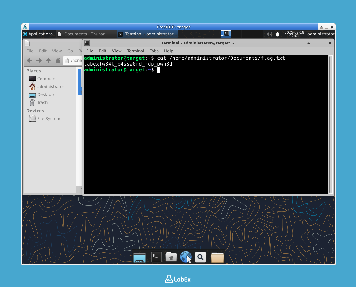 Terminal window showing command to display flag